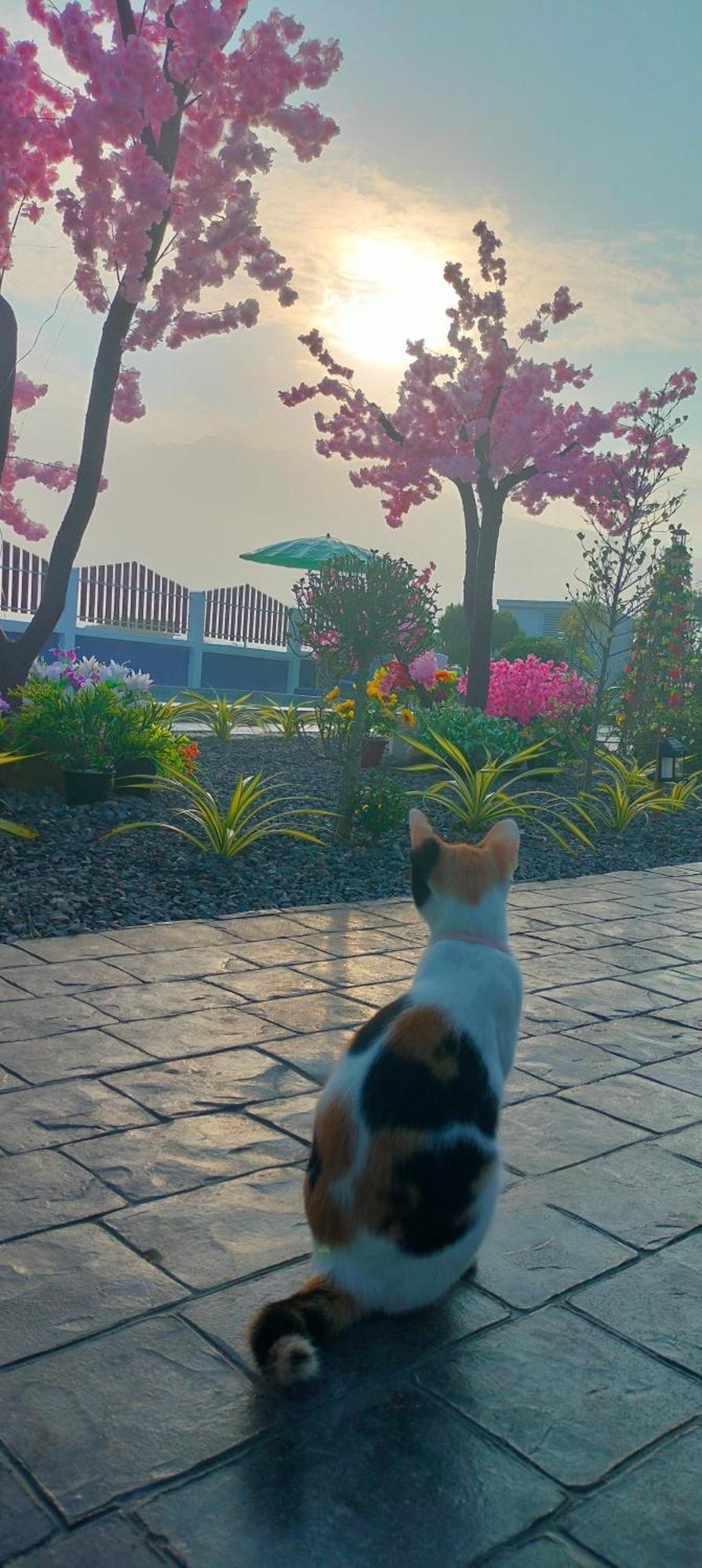 Poonsap Homestay Nan Buitenkant foto